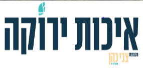 פינוי פסולת בנין
