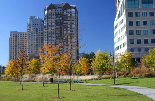 בתים משותפים2